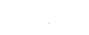 LS_Retail_logo_site